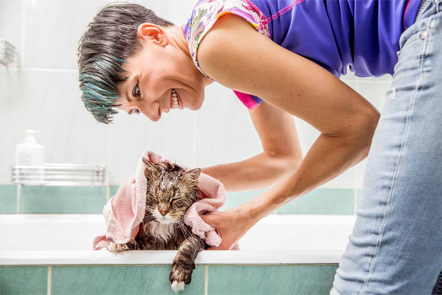 Eine Katze klettert über den Rand einer Badewanne, während eine Frau sie mit einem Badetuch abtrocknet Eine Katze klettert über den Rand einer Badewanne, während eine Frau sie mit einem Badetuch abtrocknet