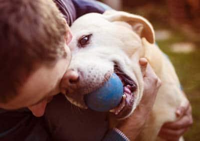 Mann umarmt einen beigefarbenen Labrador mit einem blauen Ball im Maul.