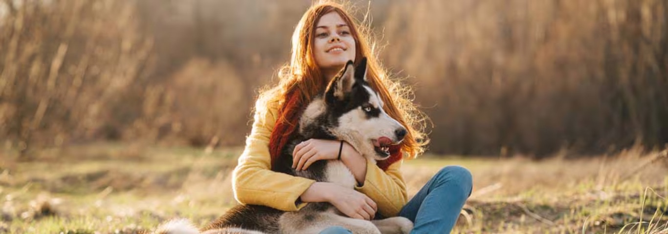 Foto eines Siberian Husky-Hundes
