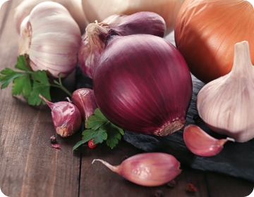 Zwiebeln und Knoblauch