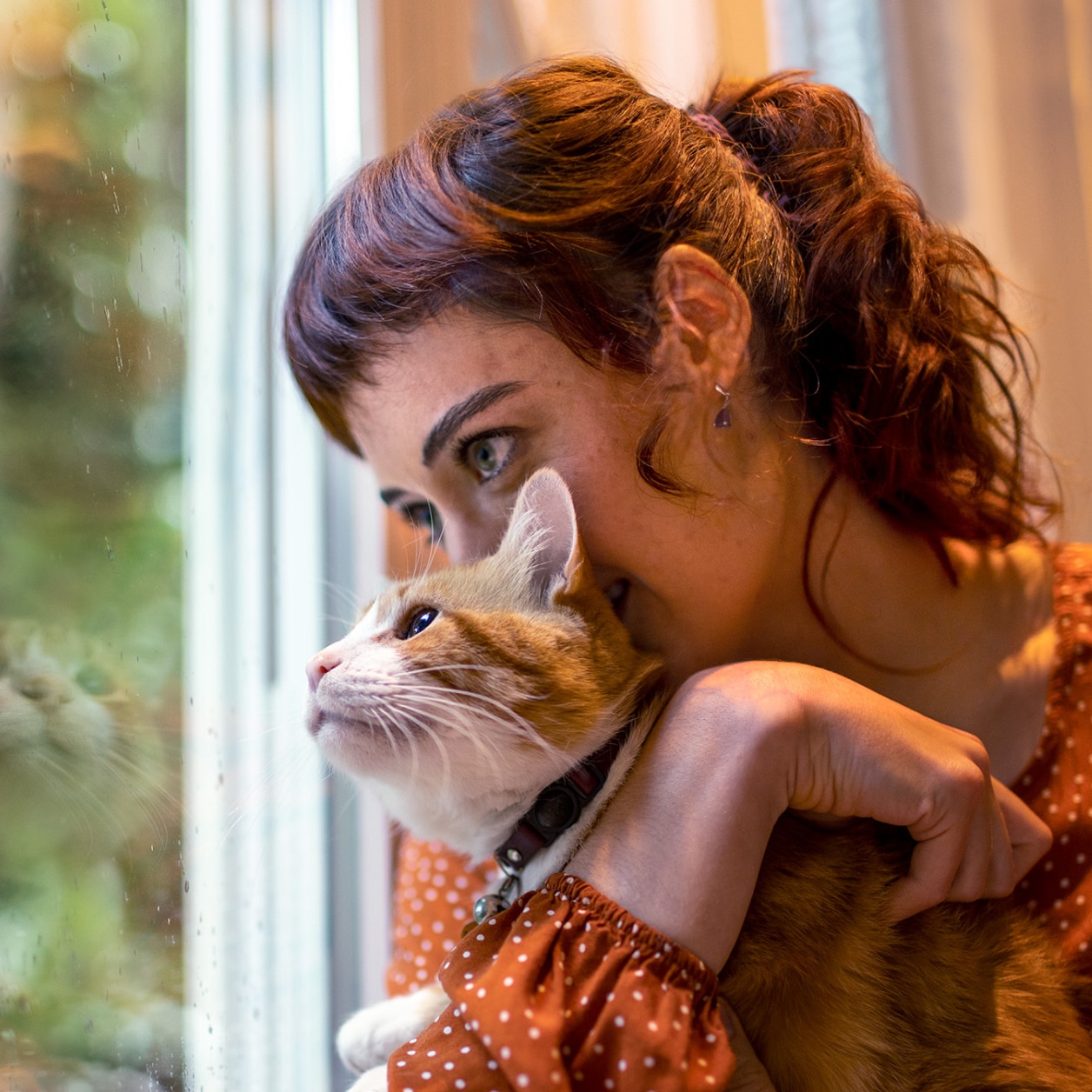 Rote Katze mit Besitzerin am Fenster
