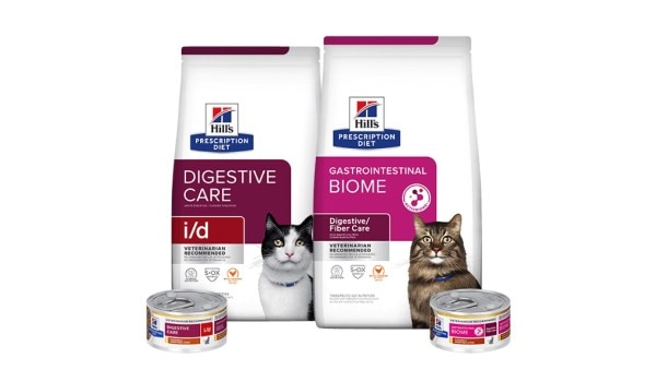 Prescription Diet Digestive care Katzenfutter