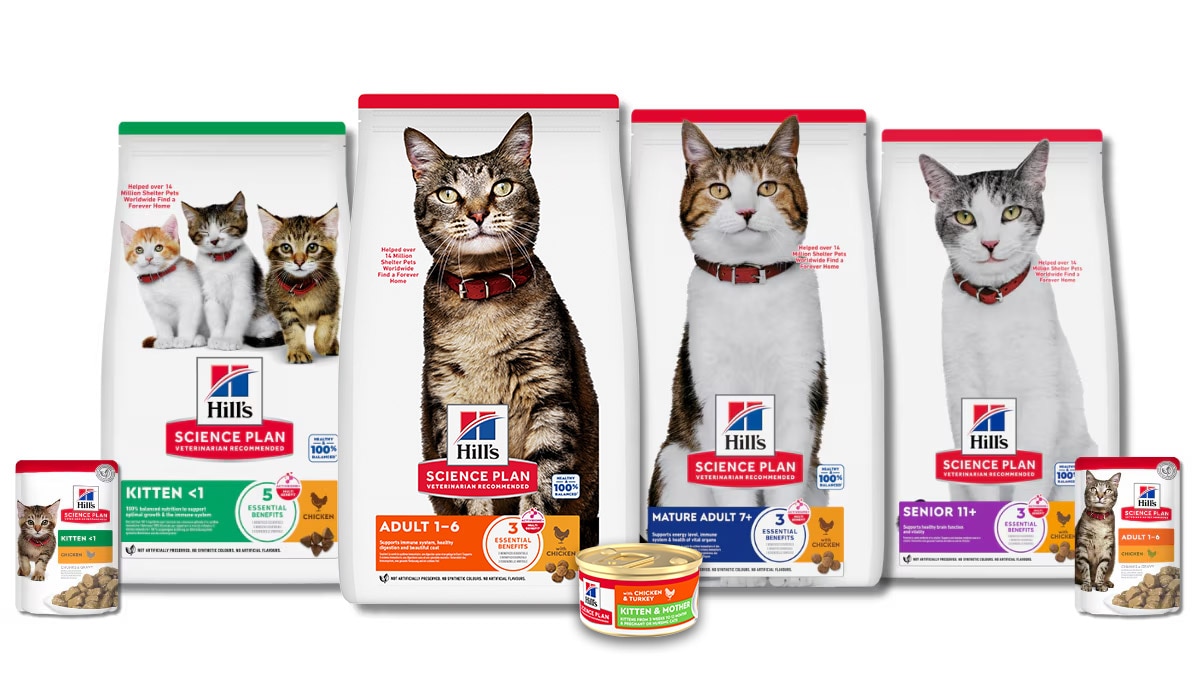 Selection of Science plan cat diets in bags, cans and pouches