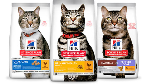 Science Plan Urinary, Oral & Hairball Perfect Coat Katzenfutter