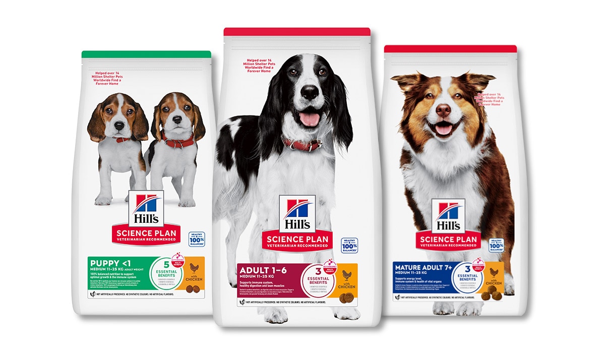 Hundefutter für Lebensphasen