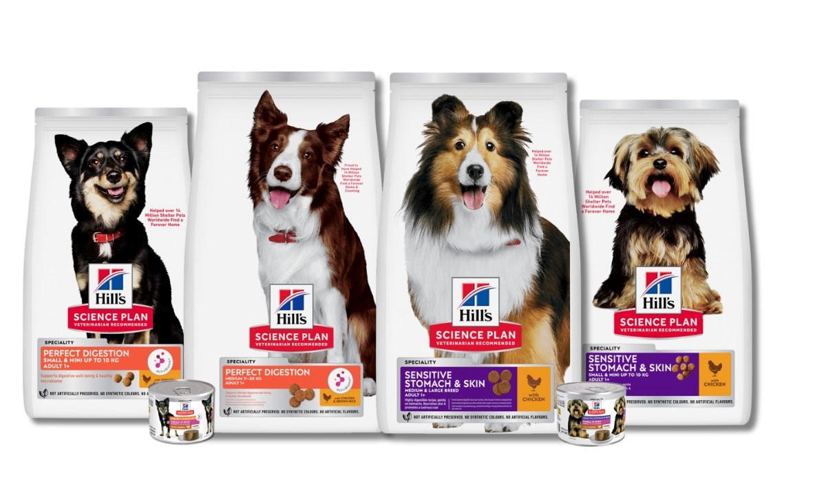Hundefutter für eine gesunde Verdauung