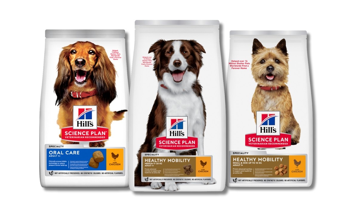 Science Plan Hundefutter