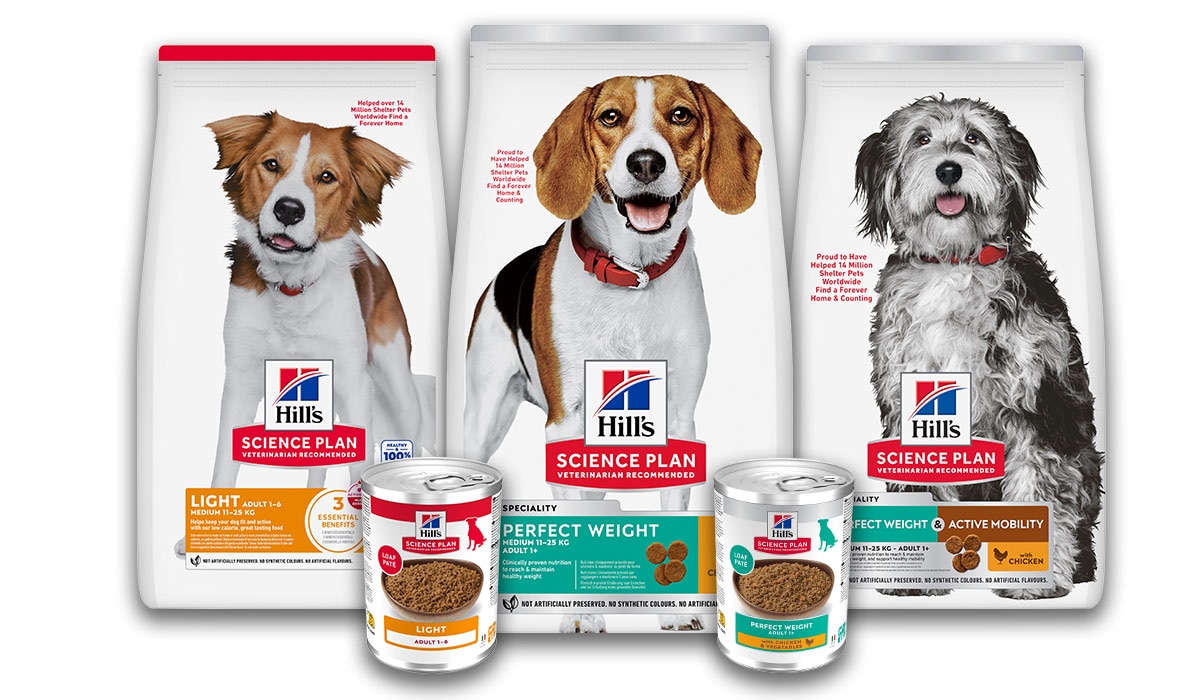 Hundefutter zum Gewichtsmanagement