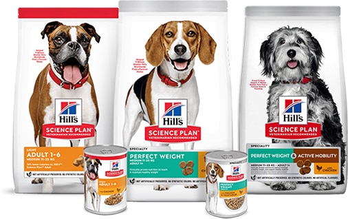 Hundefutter zum Gewichtsmanagement