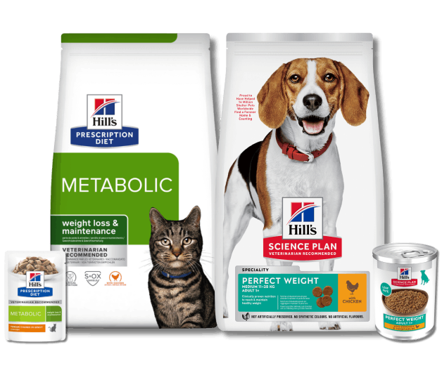Metabolic Dry und Perfect Weight Adult Katze trocken und feucht