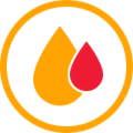 Blut in Urin Icon