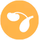 Knochen-Ikone