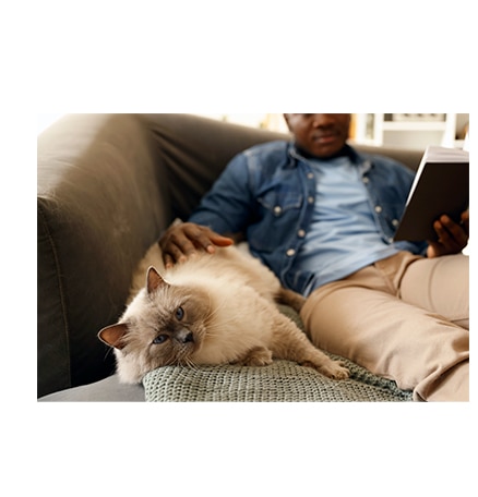 Ein Mann liest ein Buch auf dem Sofa und streichelt eine flauschige Katze.