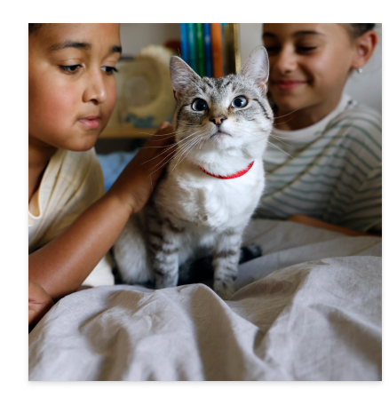 Zwei Kinder mit Katze auf einem Bett