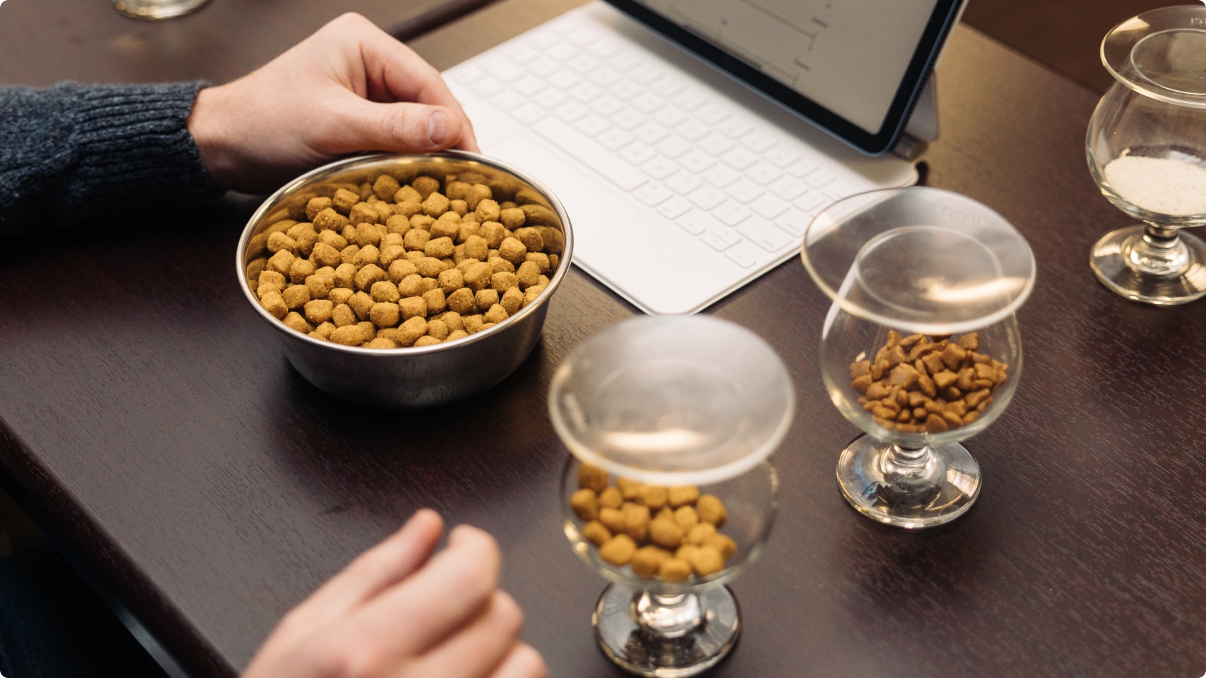 Different types of kibble in a bowl and glass containers for testing