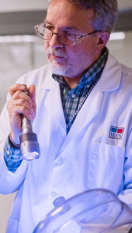 A Hill's scientist holds a torch light to demonstrate lab work to children