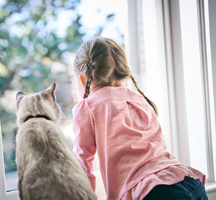 Mädchen schaut mit brau-grauer Katze aus dem Fenster