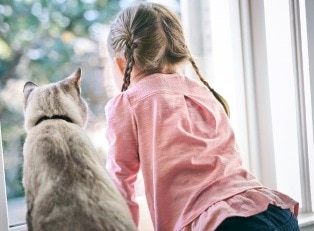 Mädchen schaut mit brau-grauer Katze aus dem Fenster