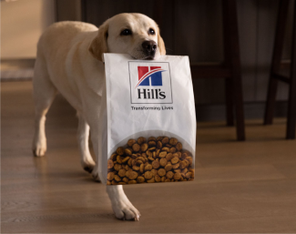 Ein Hund trägt Hundefutter von Hill's Pet im Maul