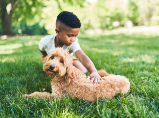 Junge mit Hund