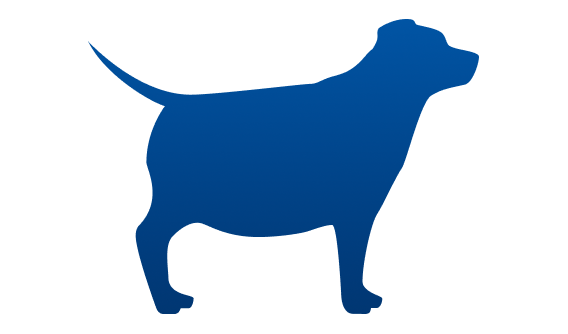 Übergewichtiger Hund