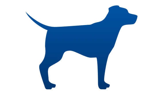 Untergewichtiger Hund