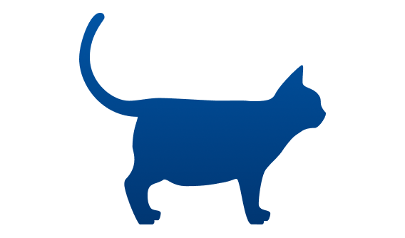 Übergewichtiger Hund