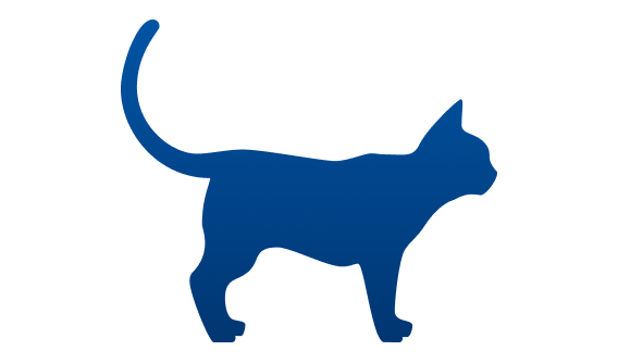 Untergewichtige Katze