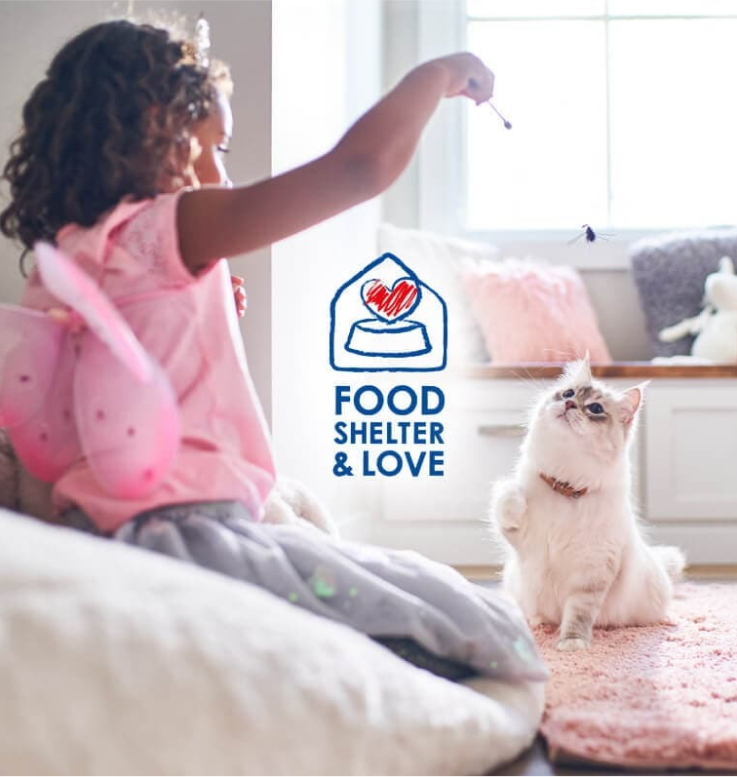 Mädchen spielt mit ihrer Katze