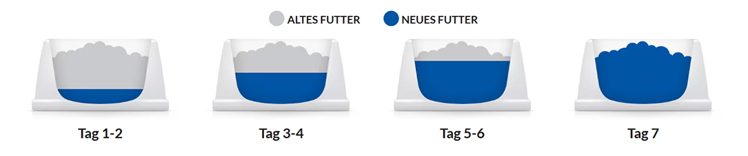 Umstellung auf Hill's