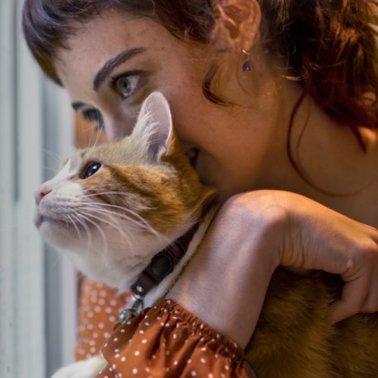 Frau in orangem Sweater hält eien Katze im Arm