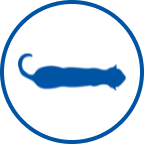 Gesunde Katze Icon