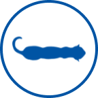 Dünne Katze Icon