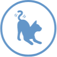 Aktive Katze Icon